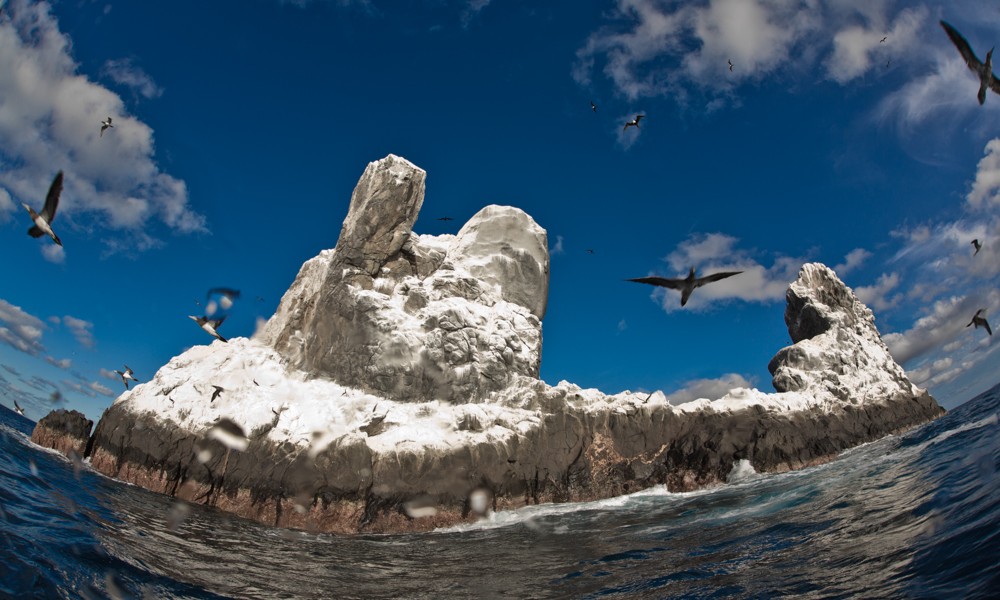 Garantizan que no habrá hoteles ni pesca en islas Revillagigedo