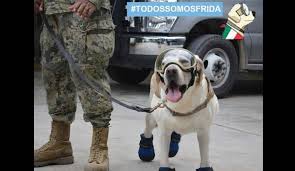 Twitter lanza emoji de Frida y se viraliza