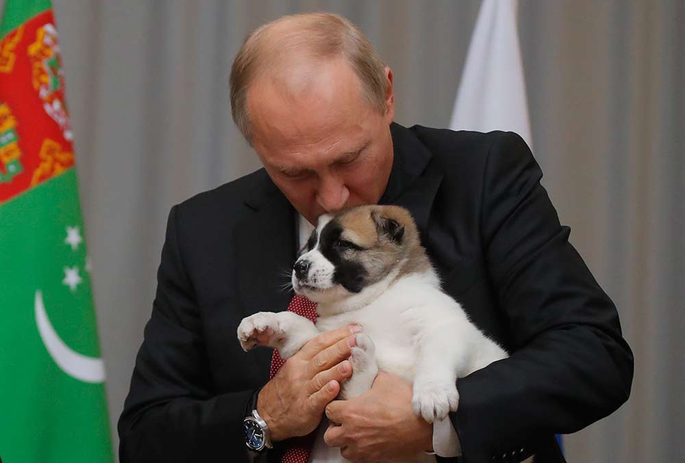 Putin se derrite por un cachorro que le regalaron