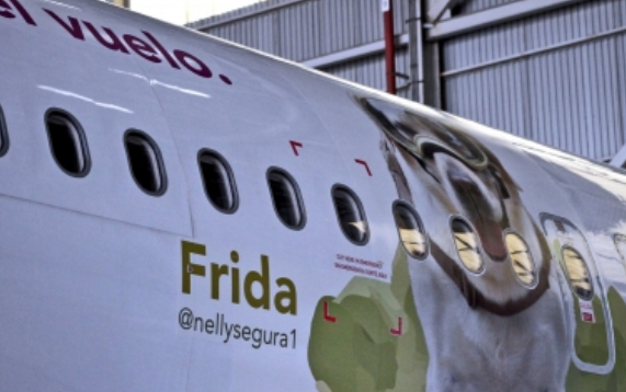 Aerolínea realiza homenaje en grande a perrita rescatista Frida