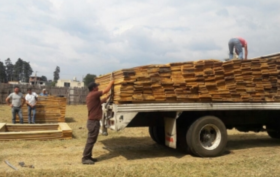 México impide ingreso de madera de Estados Unidos con plagas