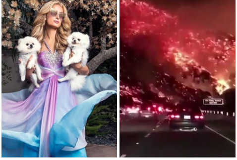 Incendio en California llega a Beverly Hills; desalojan a Paris Hilton