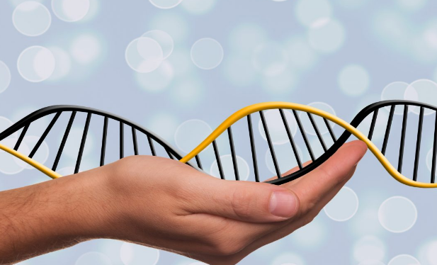 Enfermedades raras pueden prevenirse con diagnóstico genético