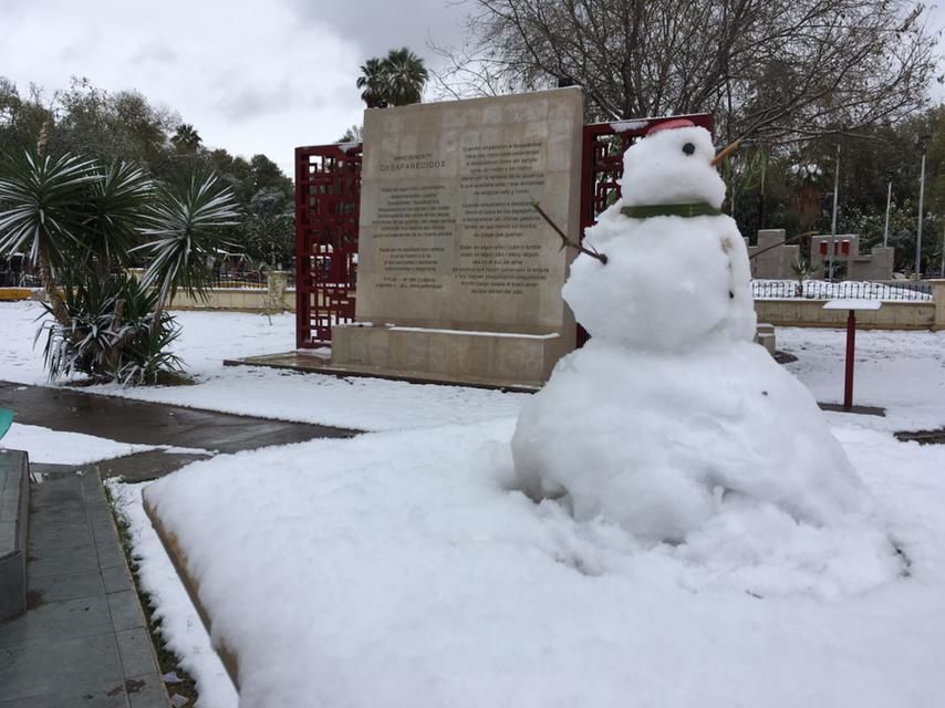 Nevada no fue por cambio climático: biólogo