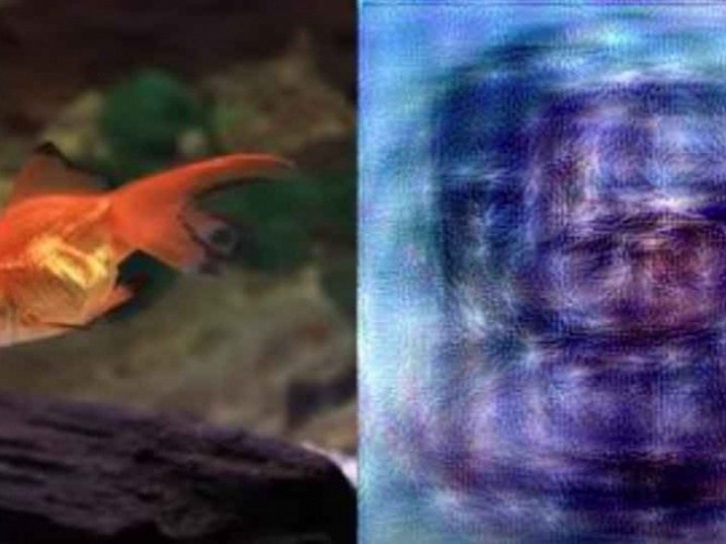 Científicos japoneses logran replicar las imágenes de la mente