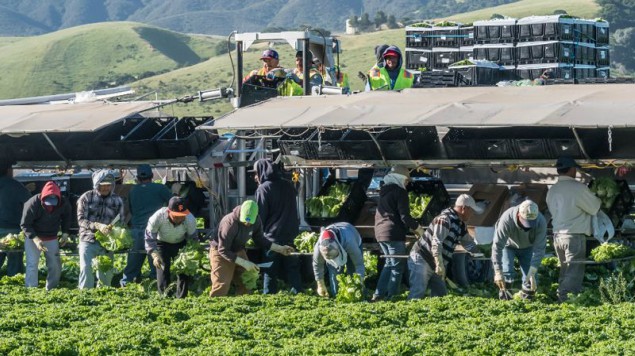 10.3 millones de mexicanos perderían su empleo si EU abandona el TLCAN