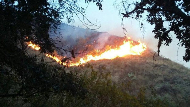 Comienza temporada de incendios forestales en la mayor parte del país
