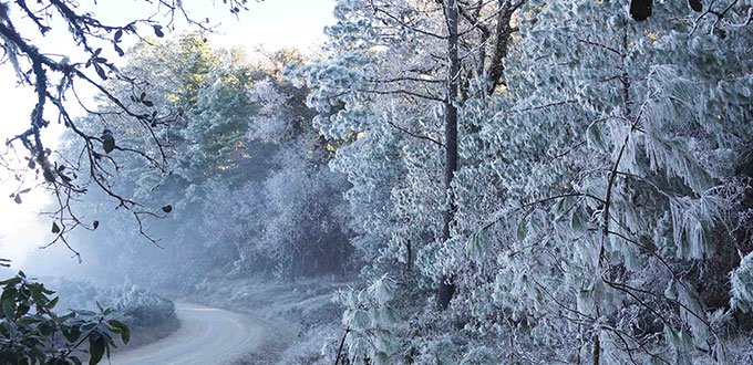 Masas de aire polar aumentarán en México hasta finales de enero