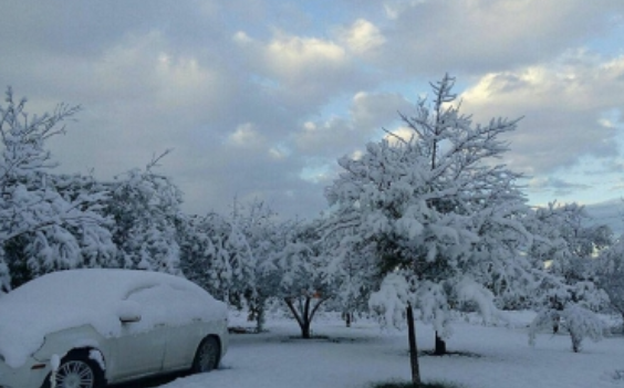 Temperaturas de hasta menos 12 grados afectan a Texas por segundo día