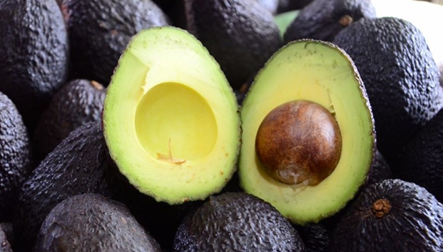 El aguacate vuelve a ser oro verde, está a 70 pesos el kilo