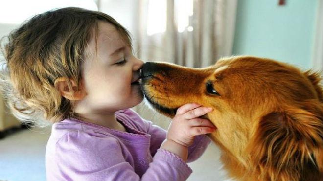 Besar a tu perro te puede matar