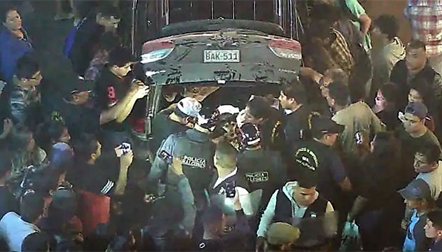 Hallan en auto perros muertos que venderían a restaurante