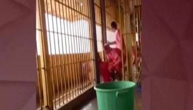 VIDEO: Reo filma masivo escape de presos en Brasil