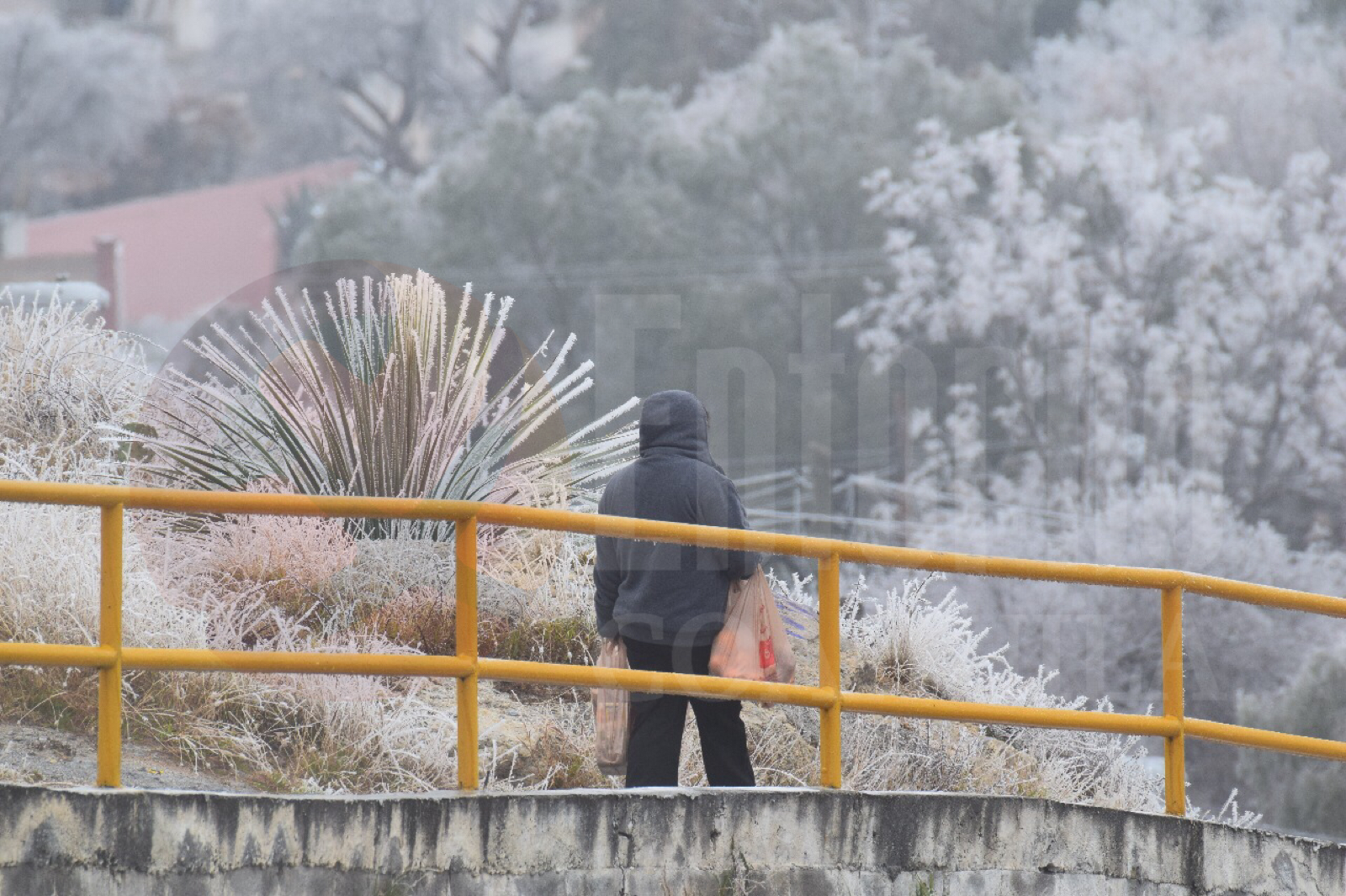 #FotoDelDía Jefa de Familia