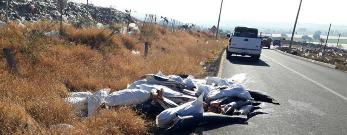 Tiran 300 tiburones en Michoacán
