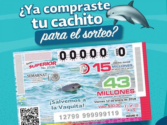 Con boleto, Lotería Nacional impulsa preservación de vaquita marina