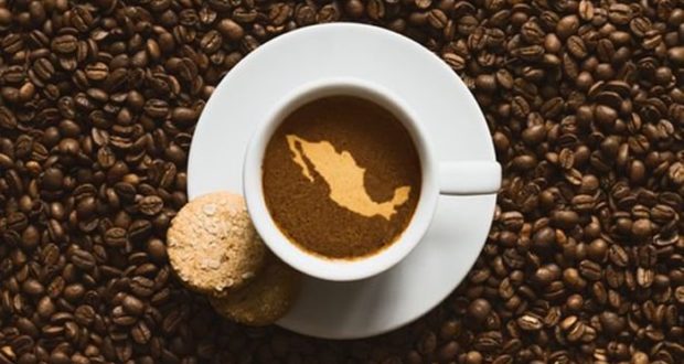 Consumo per cápita de café en México es de 1.6 kilogramos