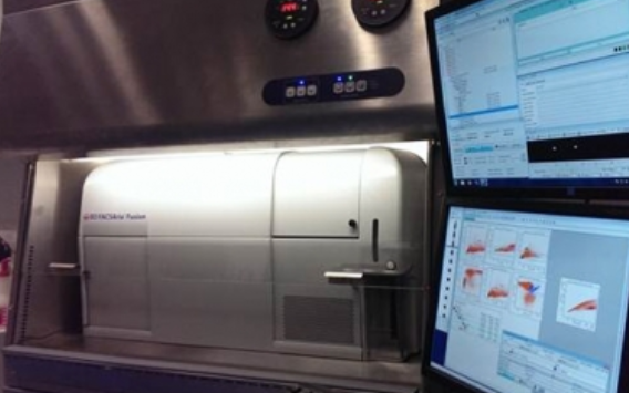 Enfermedades complejas como el cáncer deben estudiarse desde la genética