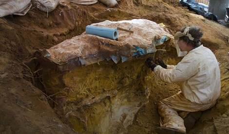 Hallan 70 huellas de mamíferos y dinosaurios en centro espacial de NASA