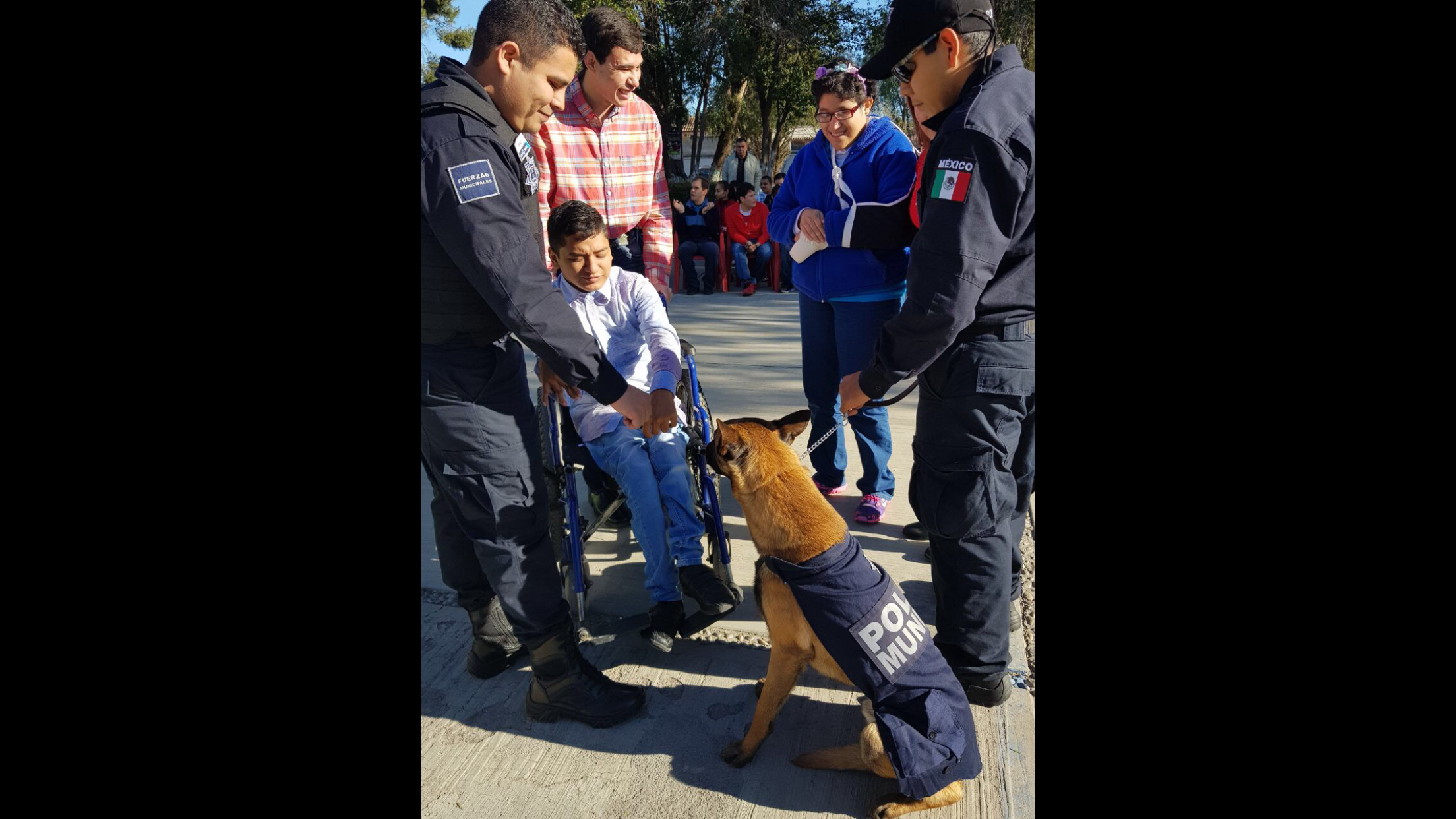 Muestra Comisión de Seguridad a mil 300 niños la unidad canina