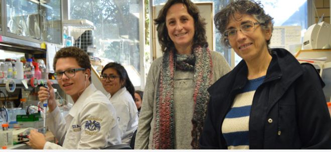 Mexicanas desarrollan molécula contra cáncer de mama