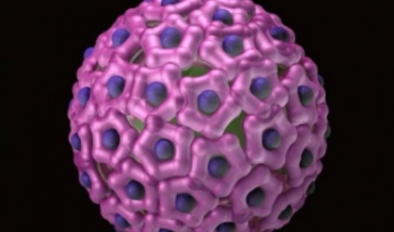 Científicos usan electroquímica para detección oportuna del papiloma