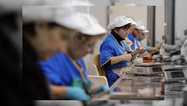 Alfonso Navarrete felicita a las mujeres mexicanas en su día