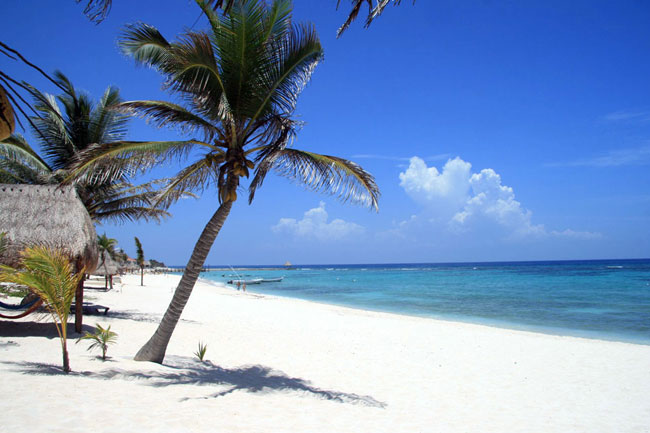 México postula 19 playas para distintivo “Blue Flag”