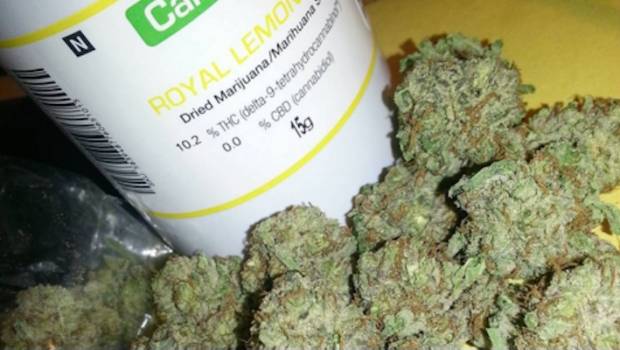 Amplían uso medicinal de marihuana en Edomex