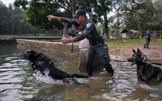 Acciones de PGR permitieron disminución de narcomenudeo en estados