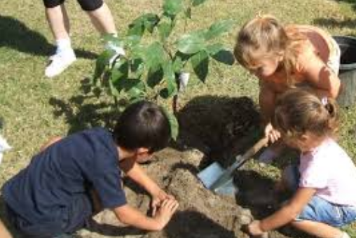 México tiene 59 Centros de Educación y Cultura Ambiental acreditados