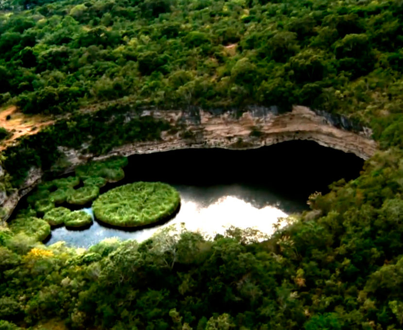 México triplicó la superficie natural protegida