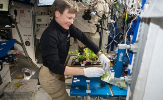 Astronautas logran cultivar vegetales en Estación Espacial Internacional