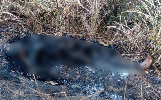 Asesinan y calcinan a una joven desaparecida