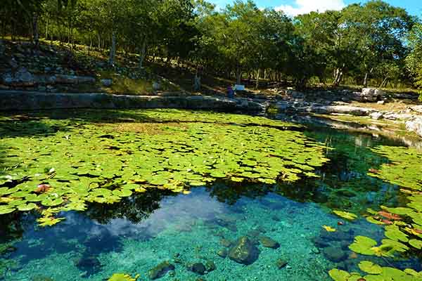 Reportan nuevos hallazgos arqueológicos en cenote de Yucatán