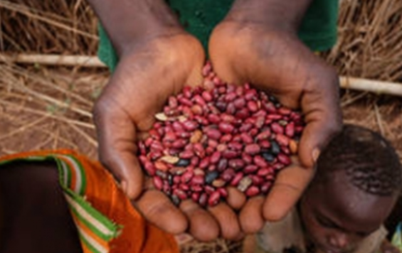 Latinoamérica y Caribe piden a FAO ayuda para paliar el hambre