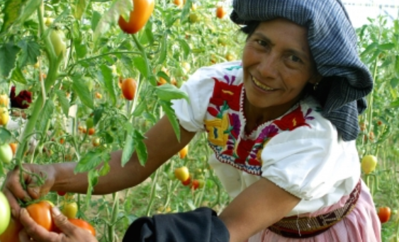 Día Internacional de la Mujer, una fecha para celebrar logros
