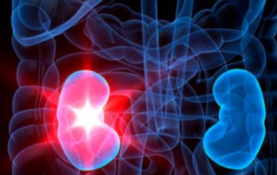 Mujeres con enfermedad renal presentan alteraciones en la fertilidad