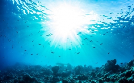 Quintana Roo, pionero en seguro natural para proteger playas y arrecifes