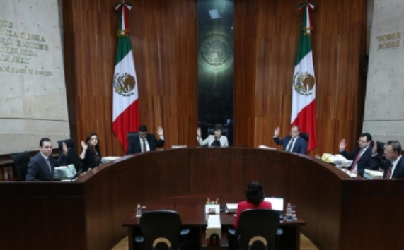 Tribunal Electoral a favor de igualdad de mujeres de talla pequeña