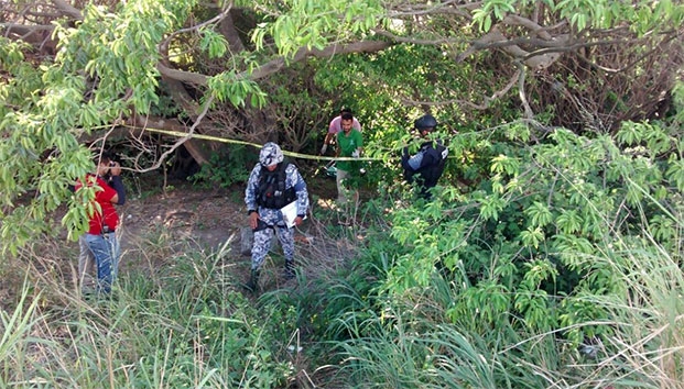 Hallan una bebé muerta en terreno baldío en Veracruz