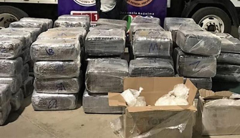 Abandonan más de 500 kilos de marihuana en carretera de Sonora