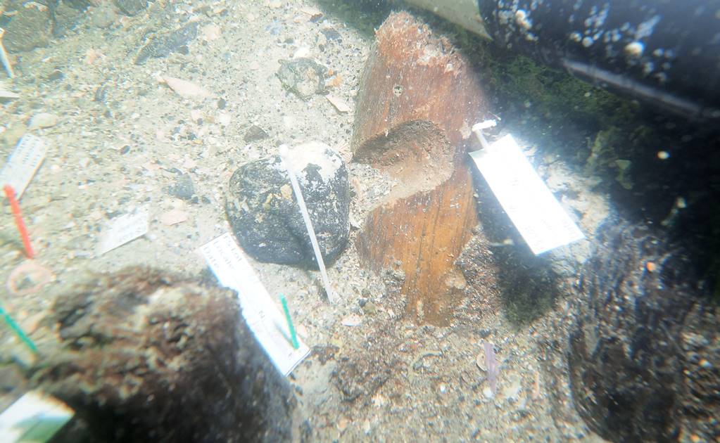 Hallan cementerio de 7 mil años bajo el Golfo de México