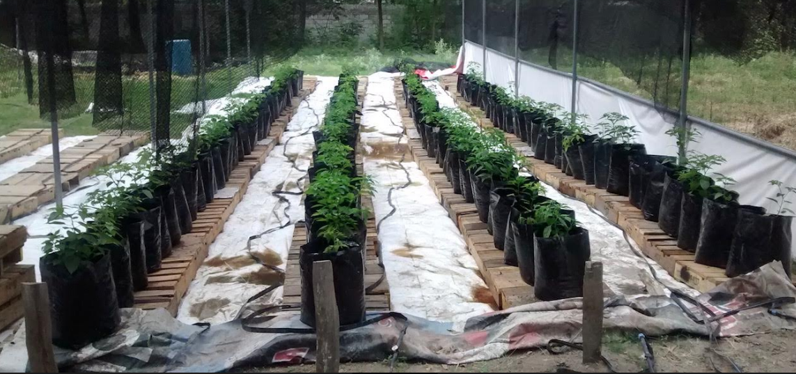 Invitan a programa de concurrencia municipalizada