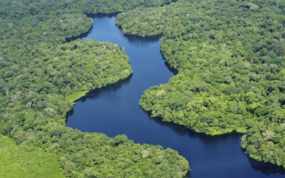 Ríos amazónicos son nueva ruta para el transporte de toneladas de drogas