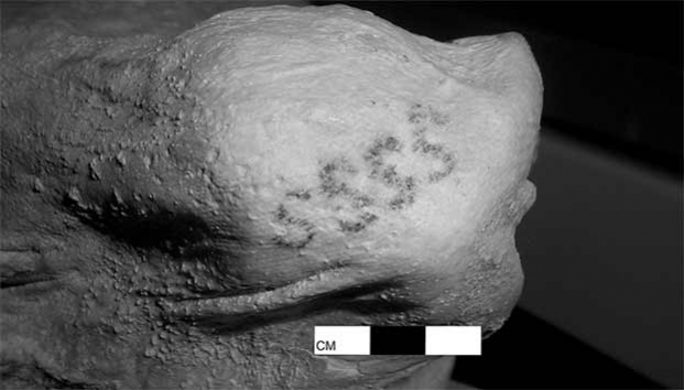 Hallan tatuajes de más de 5 mil años en momias egipcias