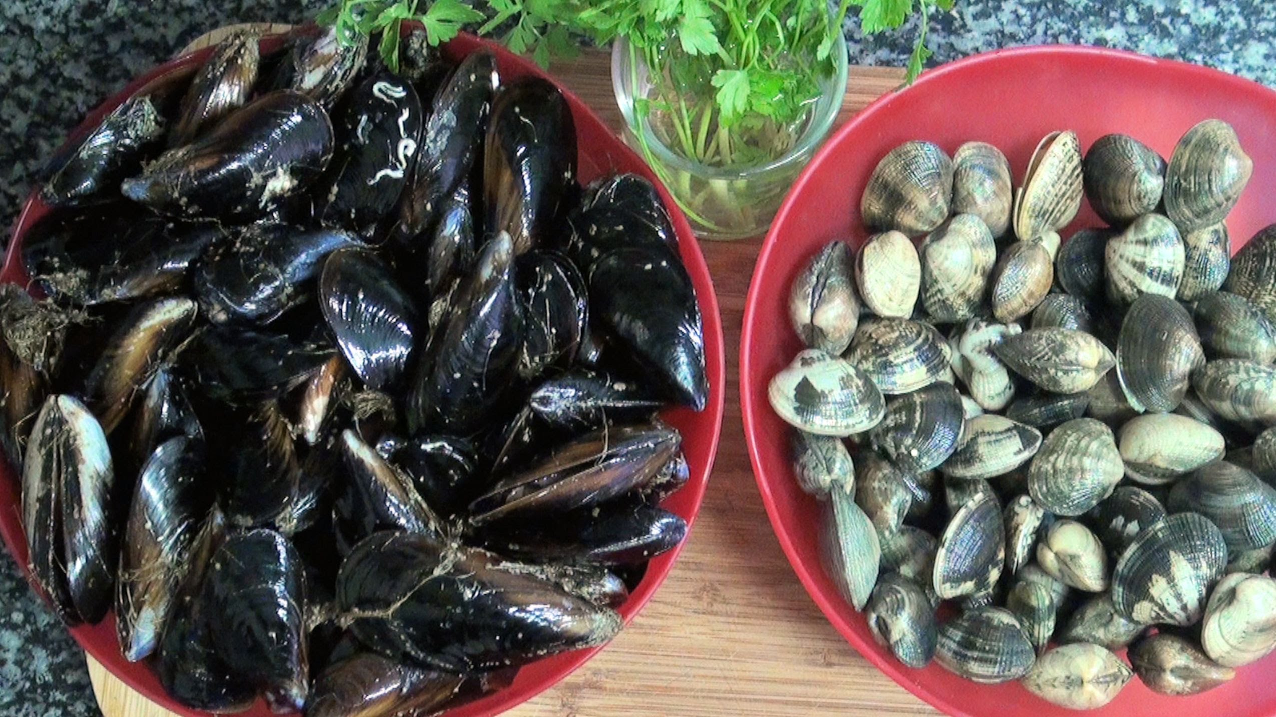 Canadá autoriza comercialización de moluscos bivalvos mexicanos