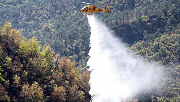 Consumen incendios forestales más de 600 hectáreas en Aramberri, NL
