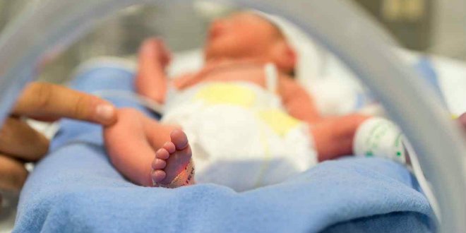 Niños deben recibir atención médica desde que nacen