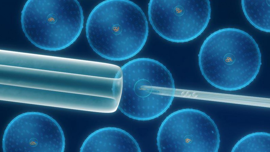 Experta advierte sobre publicidad engañosa respecto a células madre